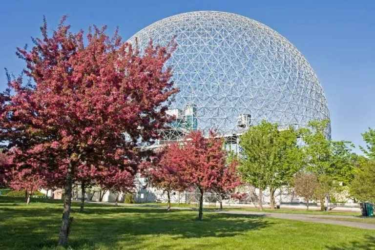 The 10 Best Things To Do in Montreal in Spring