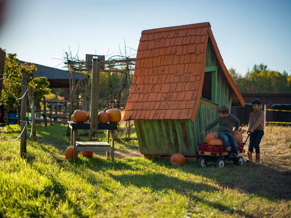 Pumpkin hunting activity in Montreal in October