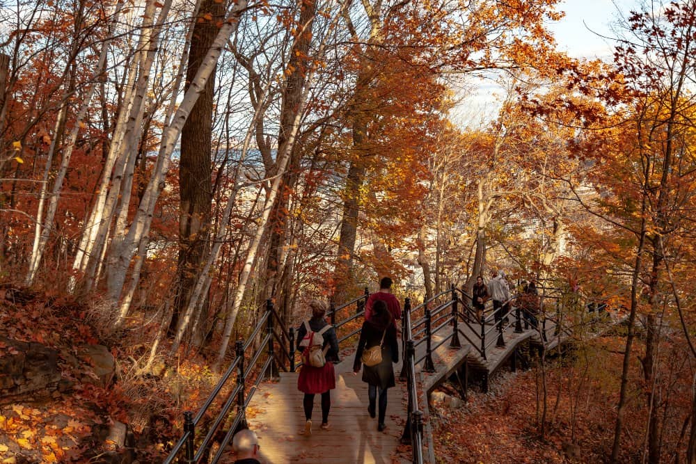 What to do in Montreal in October walk in Mount Royal Park